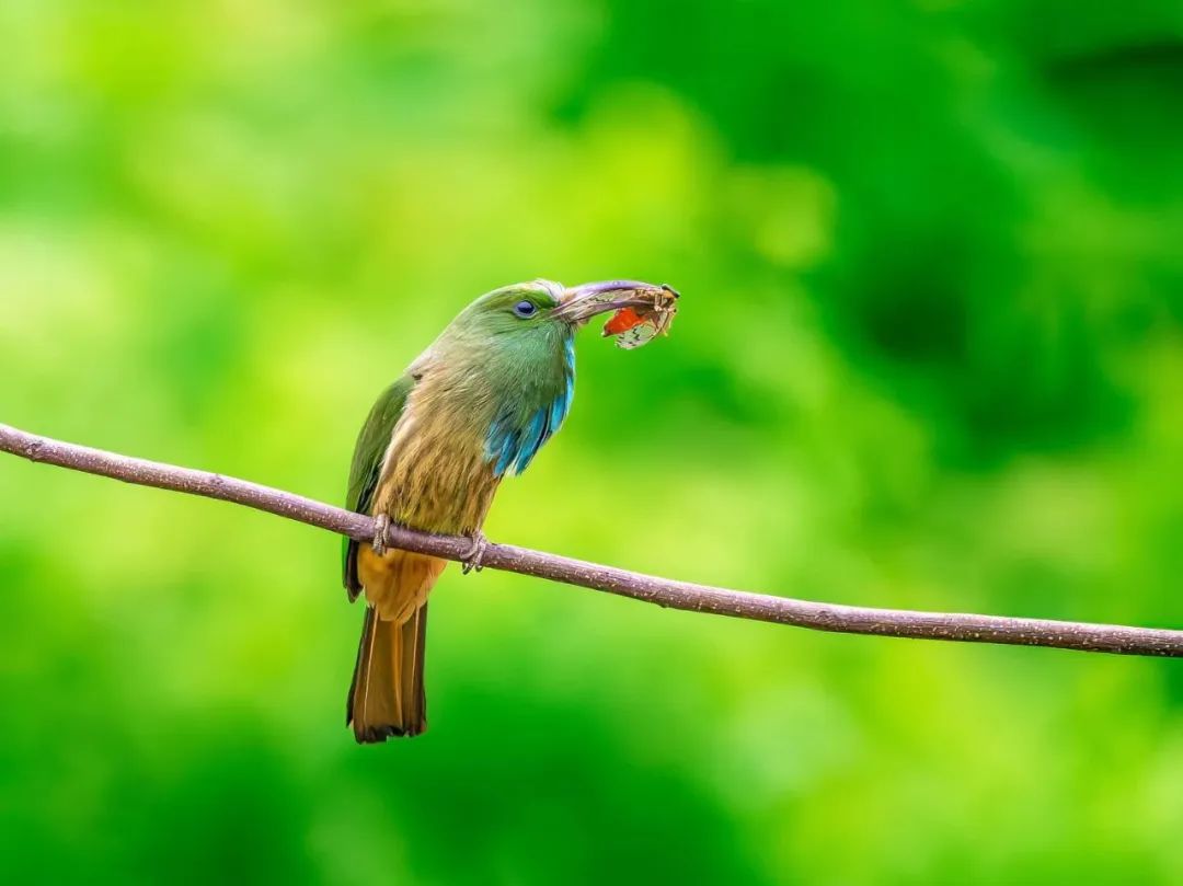 工会会计摘要书写规范