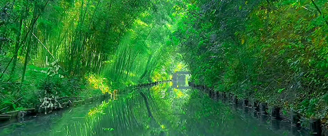 经常重复报销？事业单位财务怎么应对