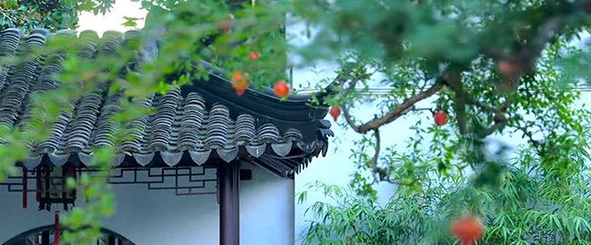 部门预算支出经济分类易混淆分析一